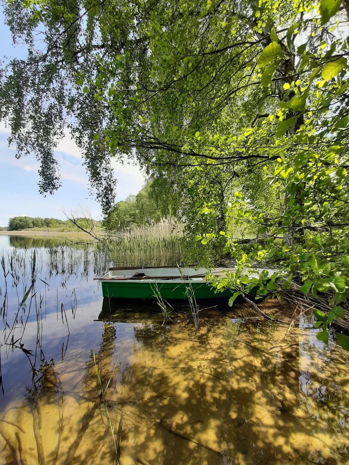 Ferienhaus mit eigenem Boot & 2 Fahrrädern ca. 100 m zum See | An den Sieben Seen