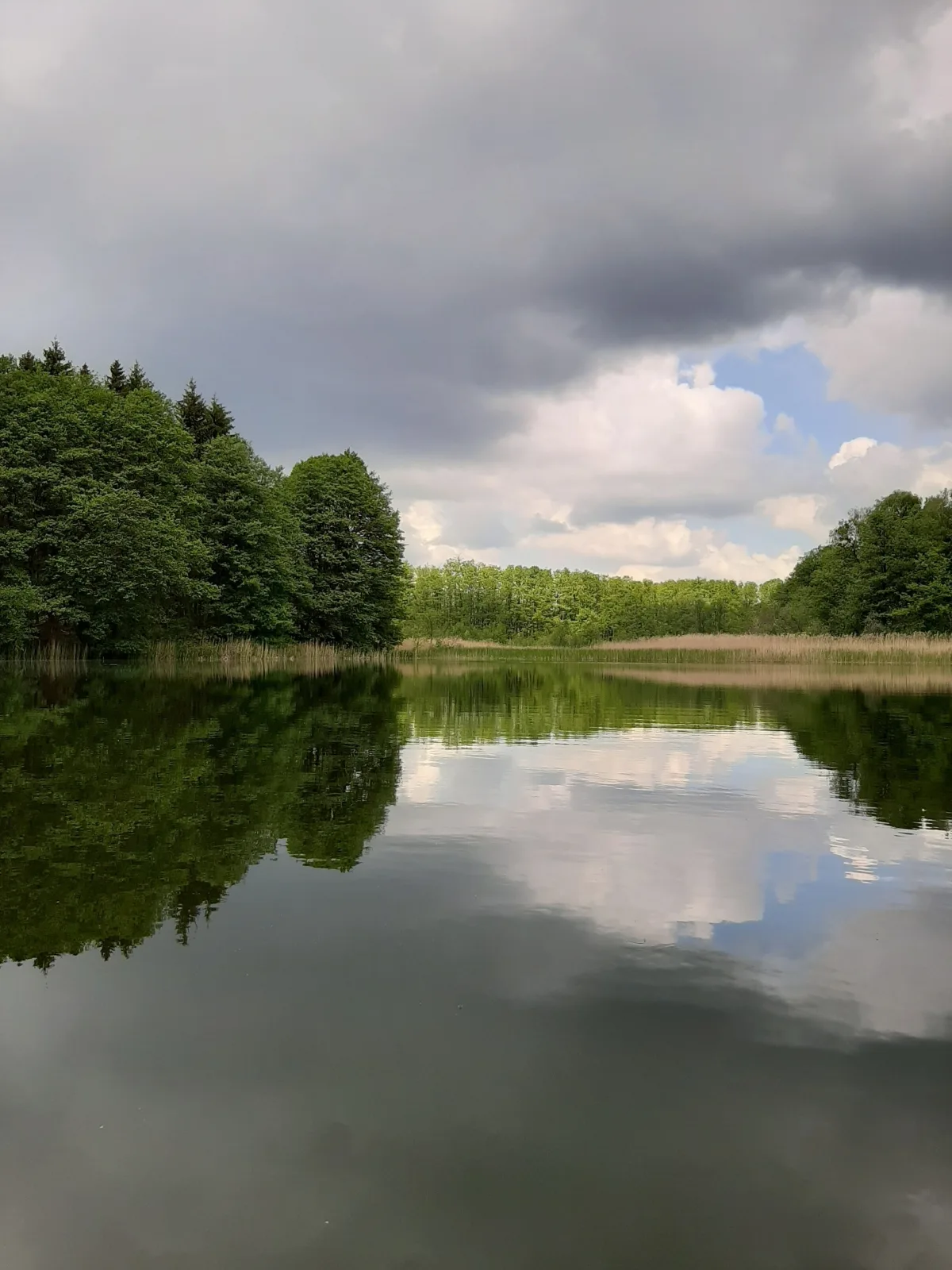 Ferienhaus mit eigenem Boot & 2 Fahrrädern ca. 100 m zum See | An den Sieben Seen
