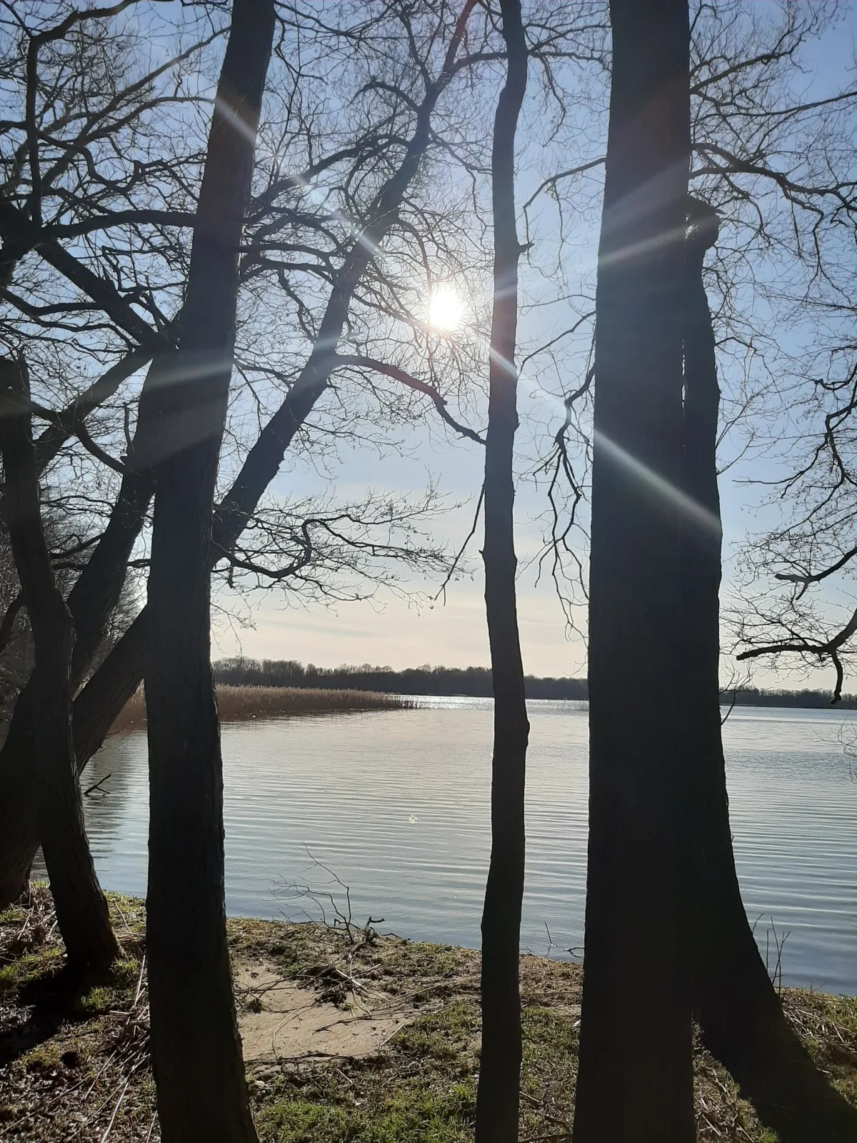 Ferienhaus mit eigenem Boot & 2 Fahrrädern ca. 100 m zum See | An den Sieben Seen