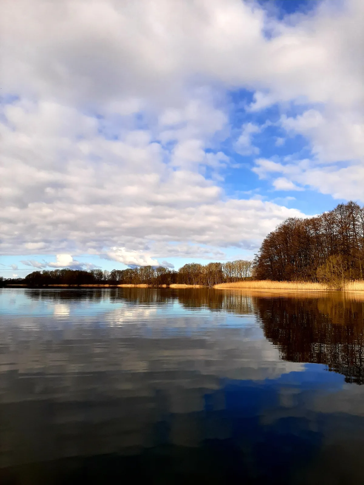 Ferienhaus mit eigenem Boot & 2 Fahrrädern ca. 100 m zum See | An den Sieben Seen