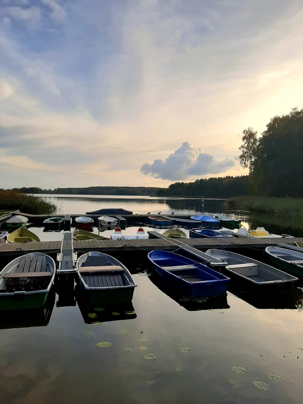 Ferienhaus mit eigenem Boot & 2 Fahrrädern ca. 100 m zum See | An den Sieben Seen
