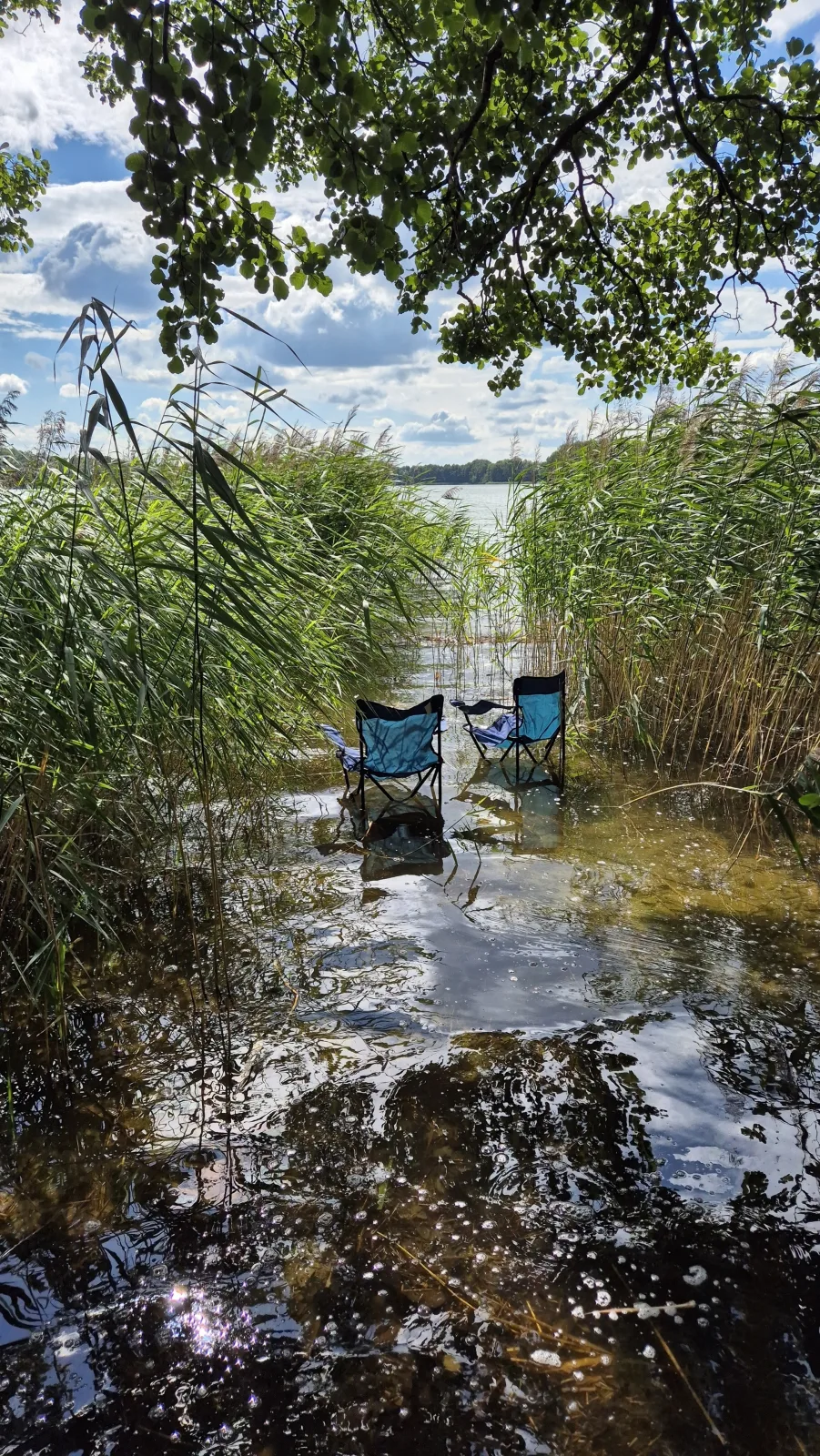 Ferienhaus mit eigenem Boot & 2 Fahrrädern ca. 100 m zum See | An den Sieben Seen