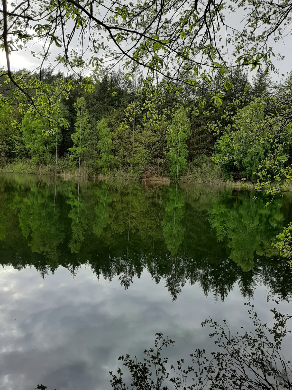 Ferienhaus mit eigenem Boot & 2 Fahrrädern ca. 100 m zum See | An den Sieben Seen