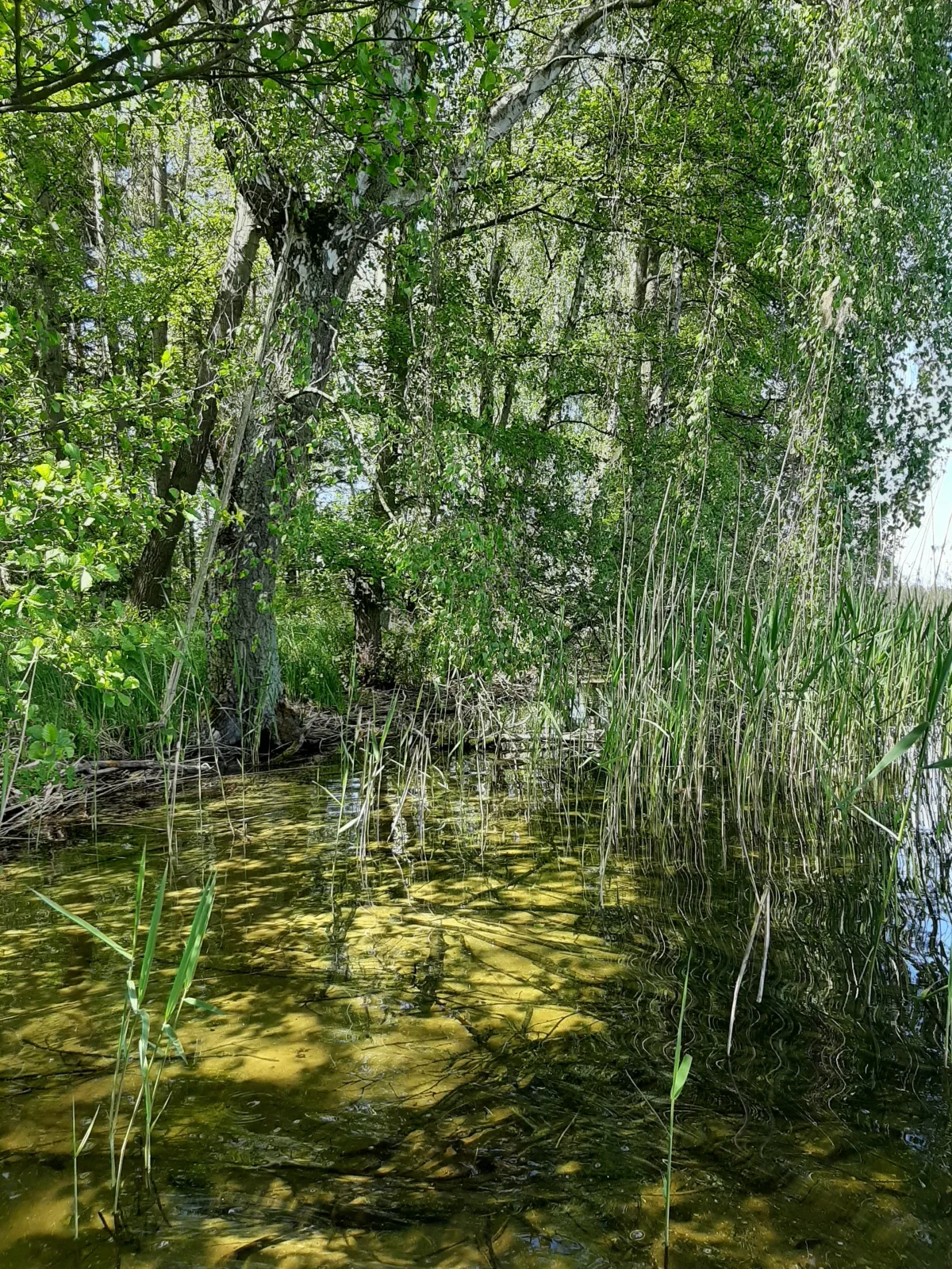 Ferienhaus mit eigenem Boot & 2 Fahrrädern ca. 100 m zum See | An den Sieben Seen