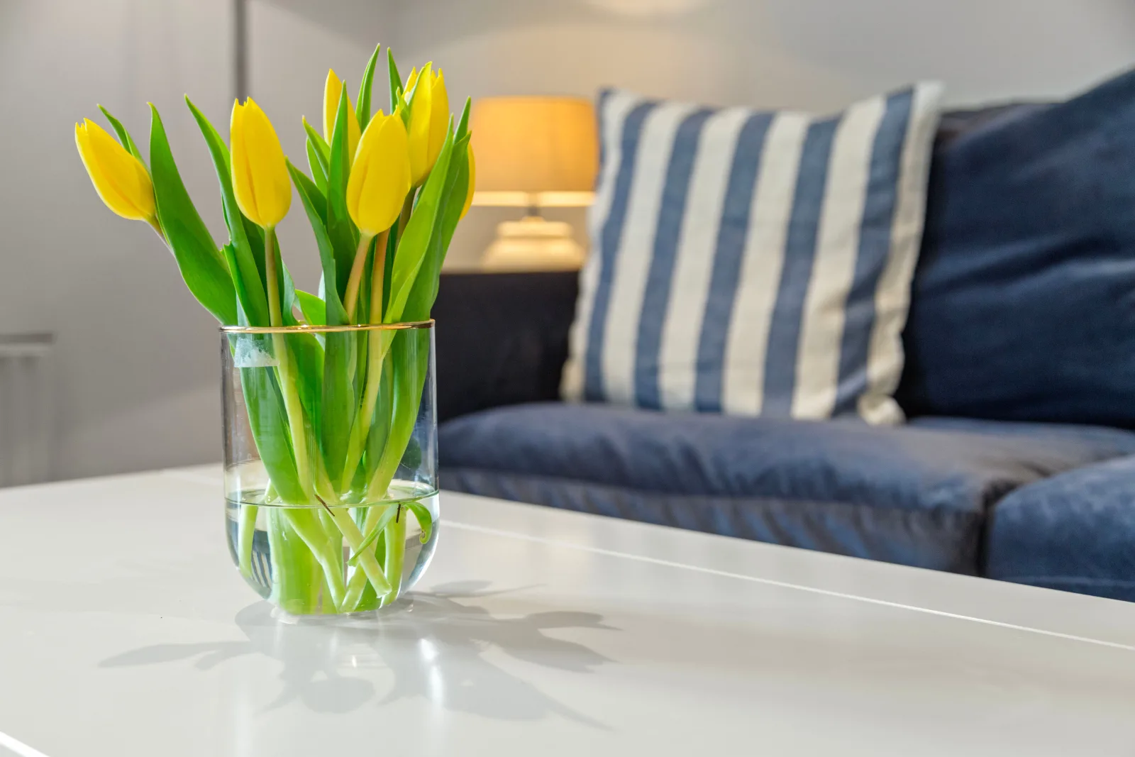Gut Oehe Ferienwohnung mit Balkon