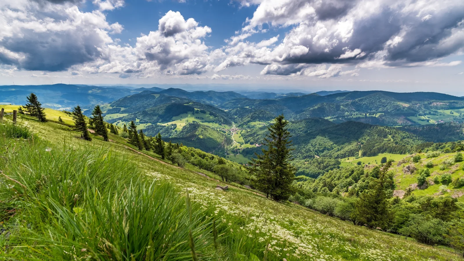 Ferienwohnung Bergzauber Schwarzwald