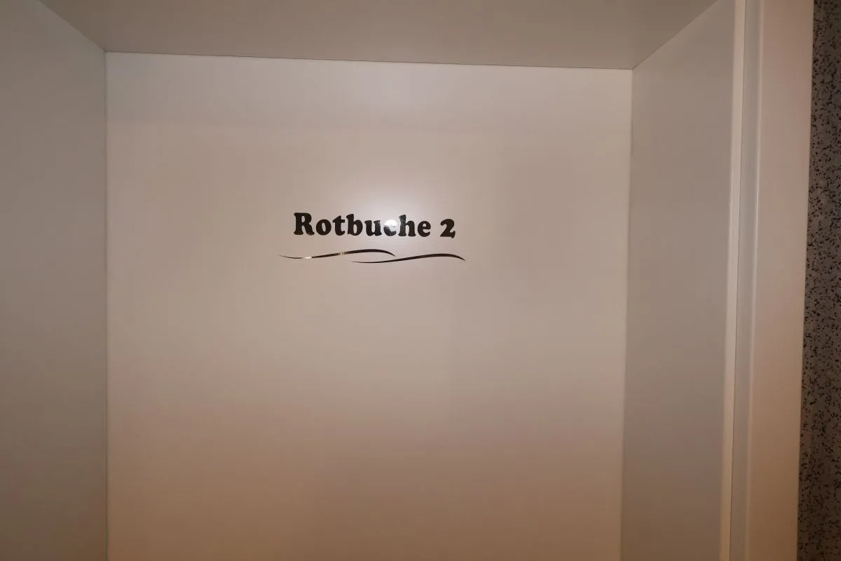 Rotbuche 2