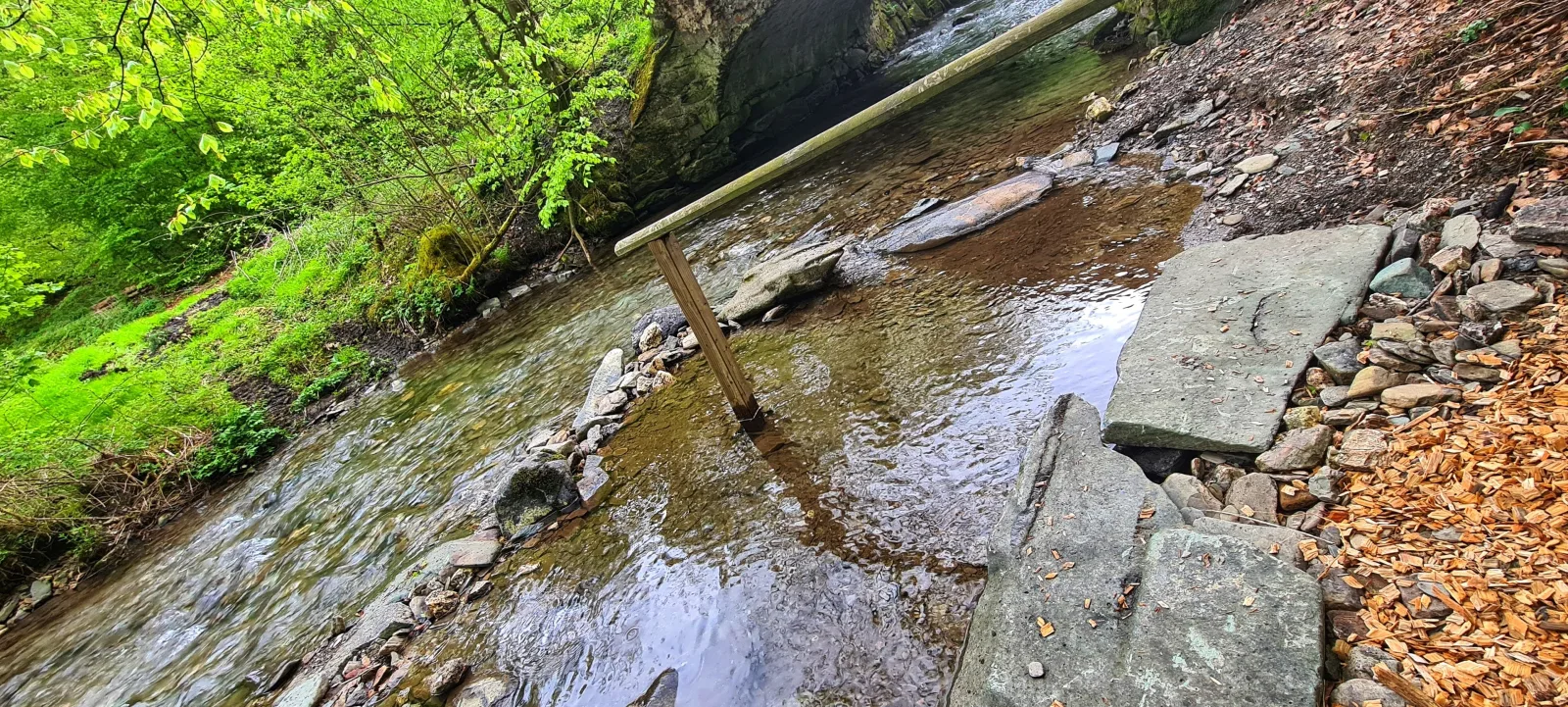 TALBLICK (Ferienwohnungen Dorfliebe Dörnberg)