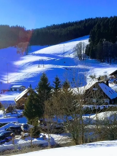 GreenHolidays