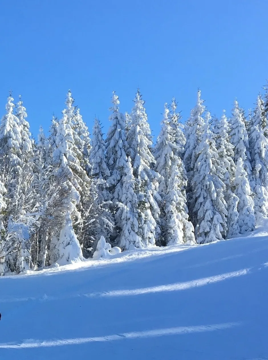 GreenHolidays