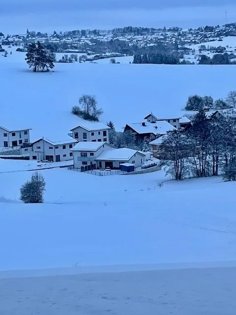 GreenHolidays