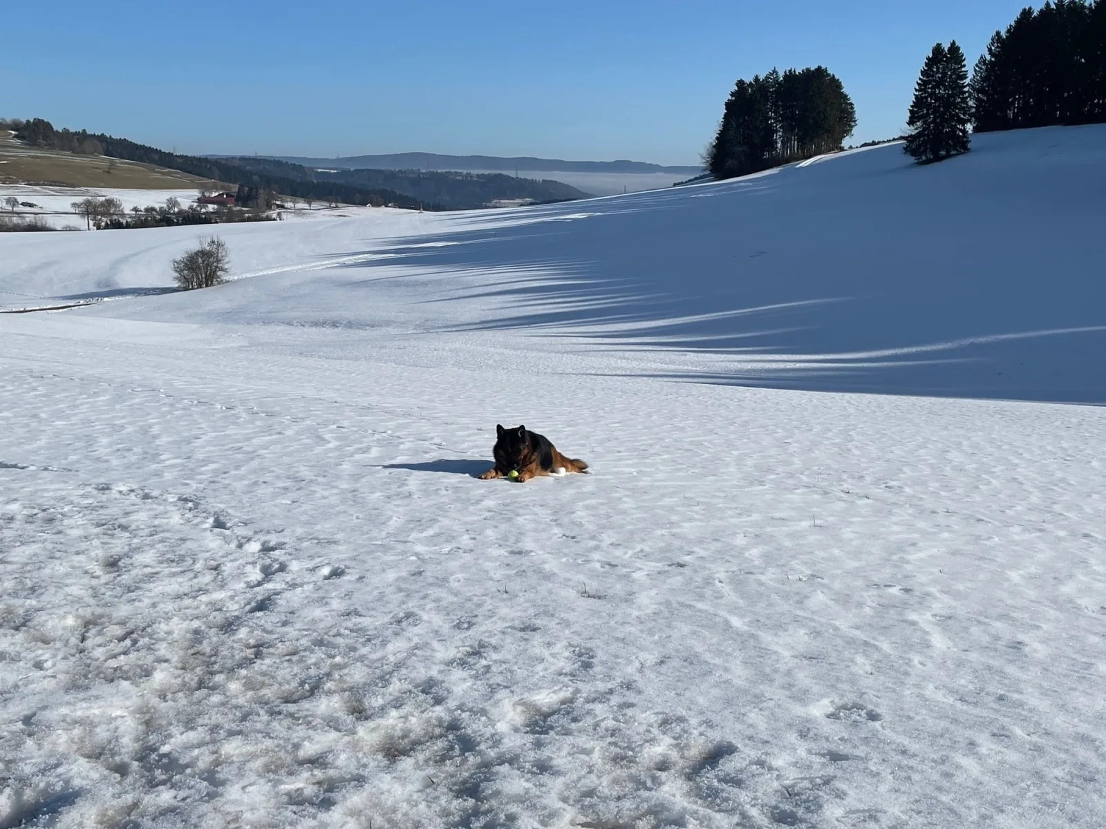 GreenHolidays