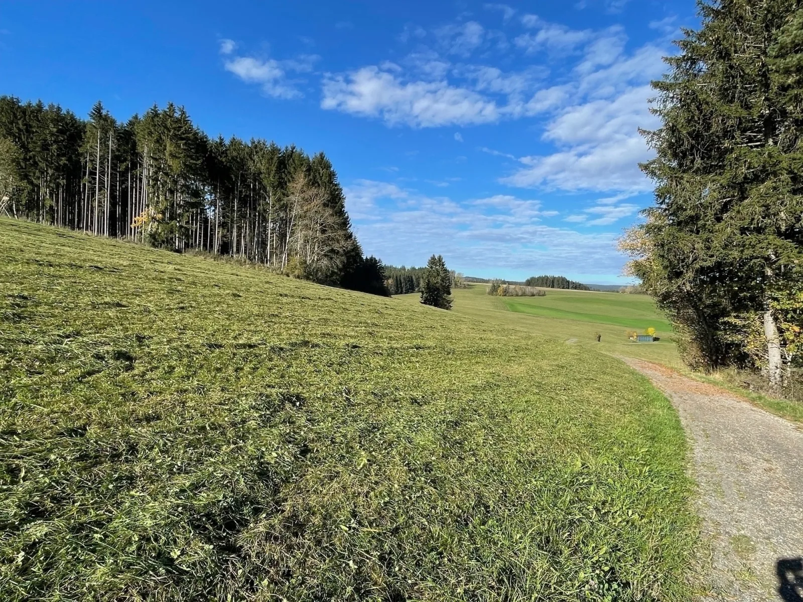 GreenHolidays