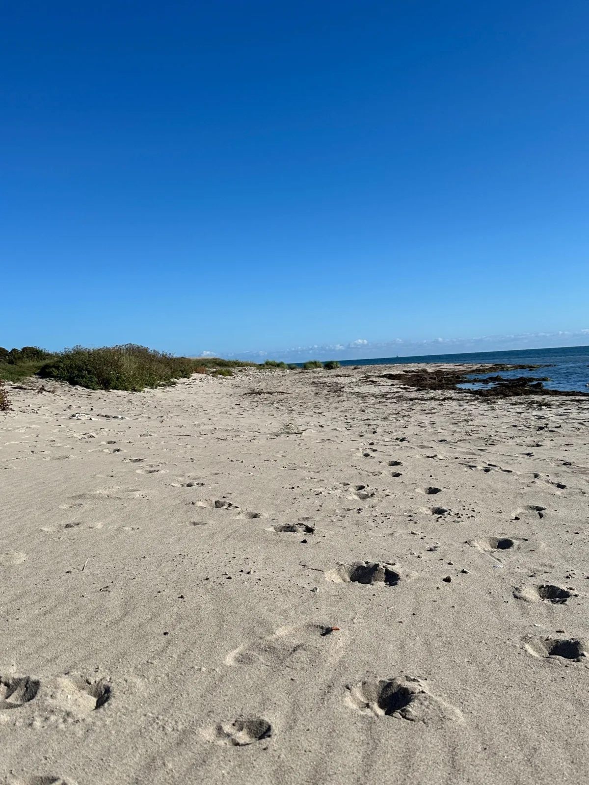 Ferienwohnung in Strandnähe - Schwalbennest 1