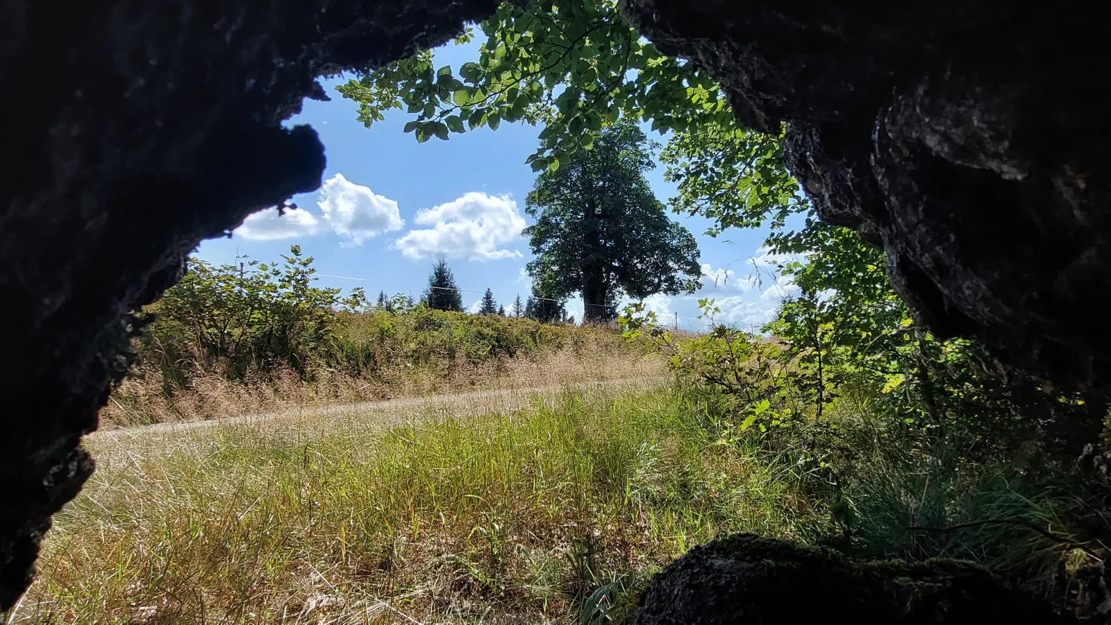 Helle, lichtdurchflutete Ferienwohnung im Herzen des Bayerischen Waldes, Nationalparknähe