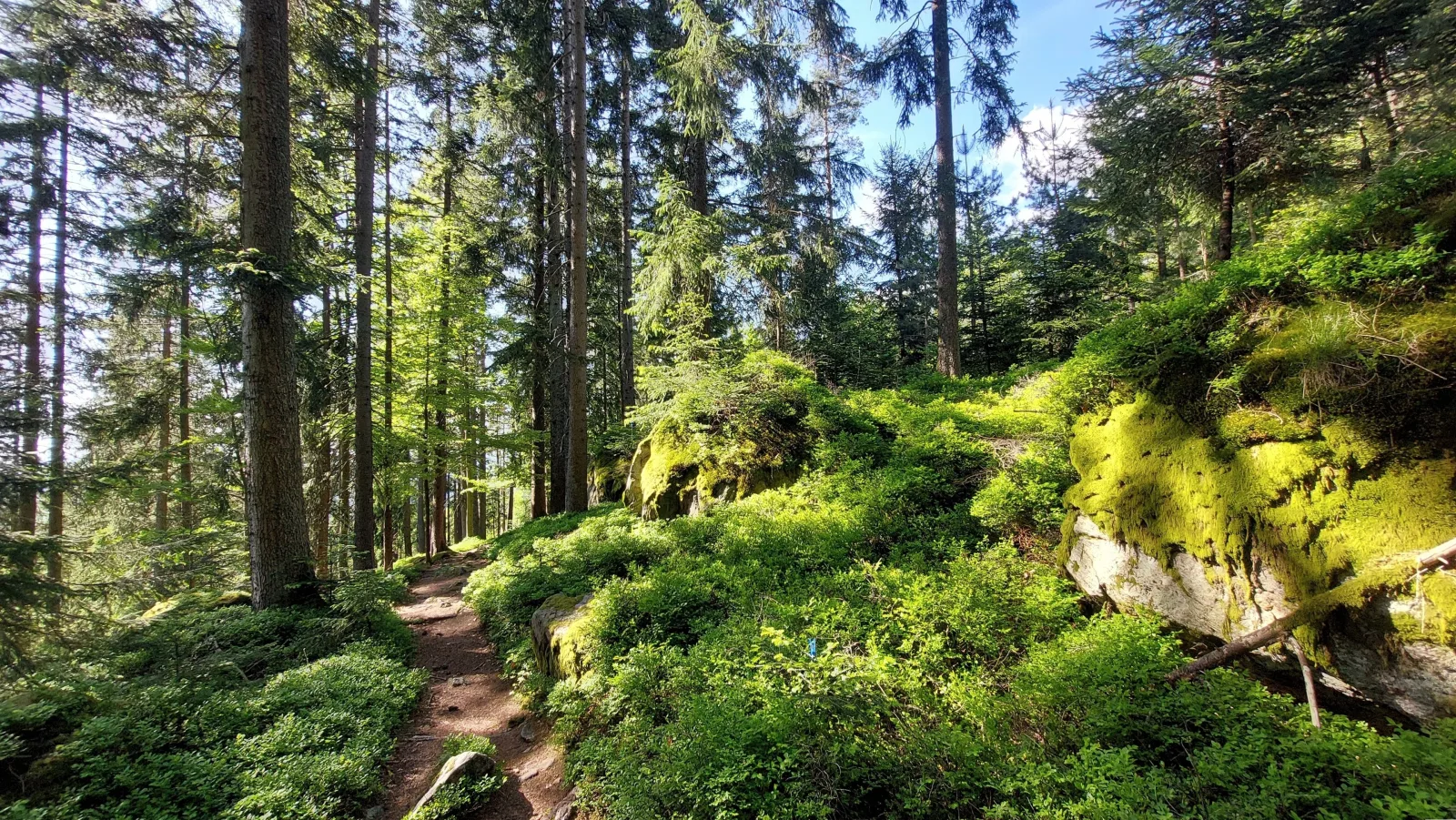 Helle, lichtdurchflutete Ferienwohnung im Herzen des Bayerischen Waldes, Nationalparknähe