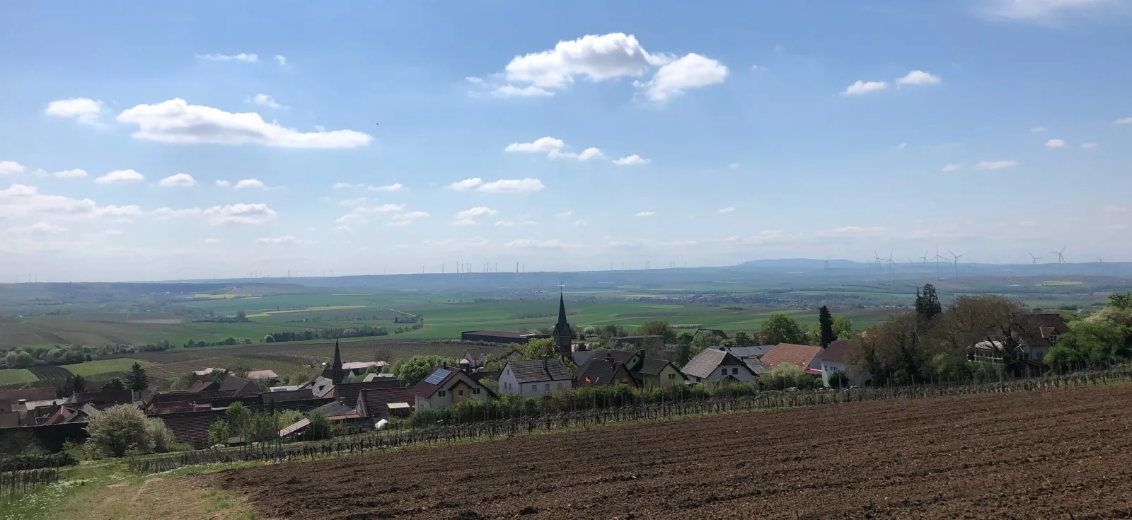 Jakobsruhe - Ferien im Weinparadies