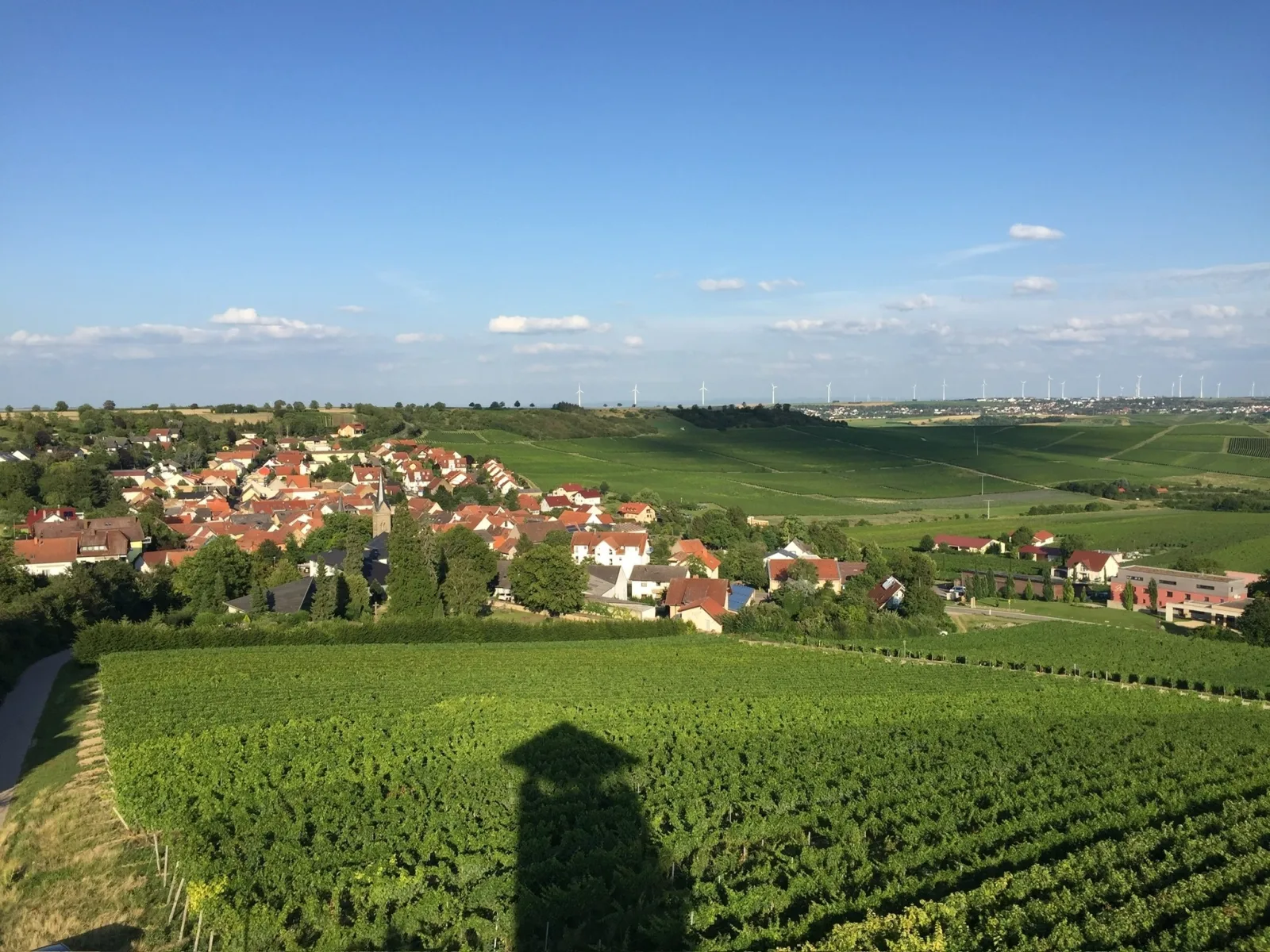 Jakobsruhe - Ferien im Weinparadies