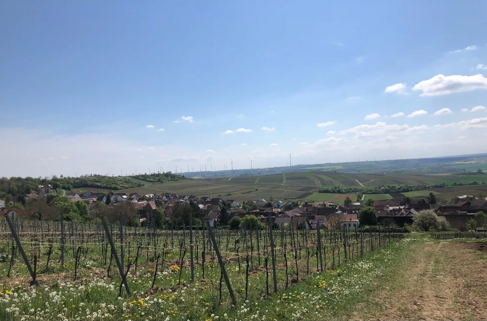 Jakobsruhe - Ferien im Weinparadies