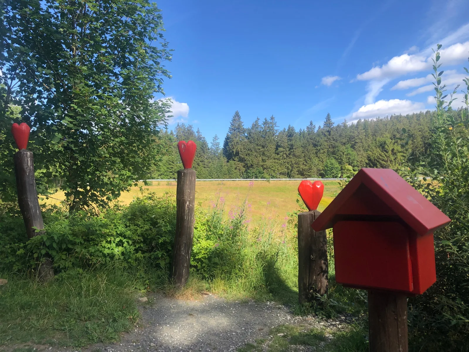Ferienwohnung Panoramablick Hahnenklee