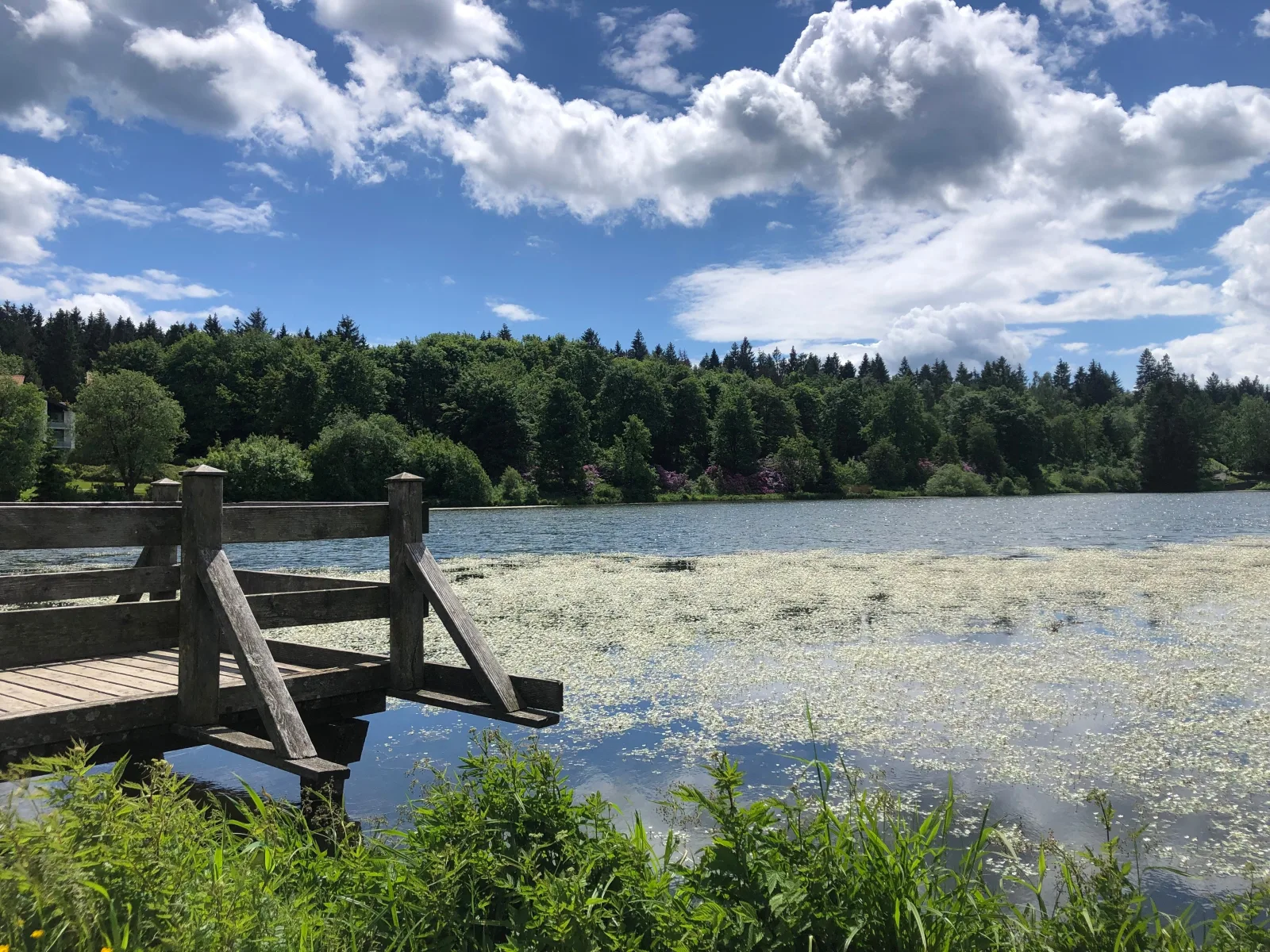 Ferienwohnung Panoramablick Hahnenklee