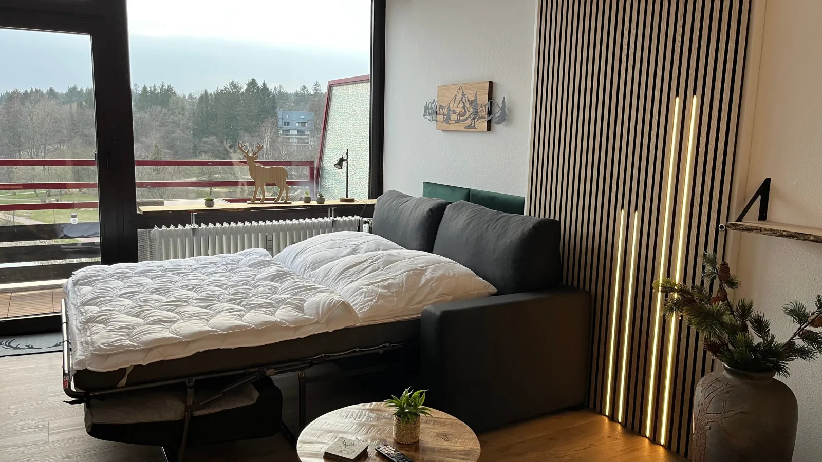 Ferienwohnung Panoramablick Hahnenklee