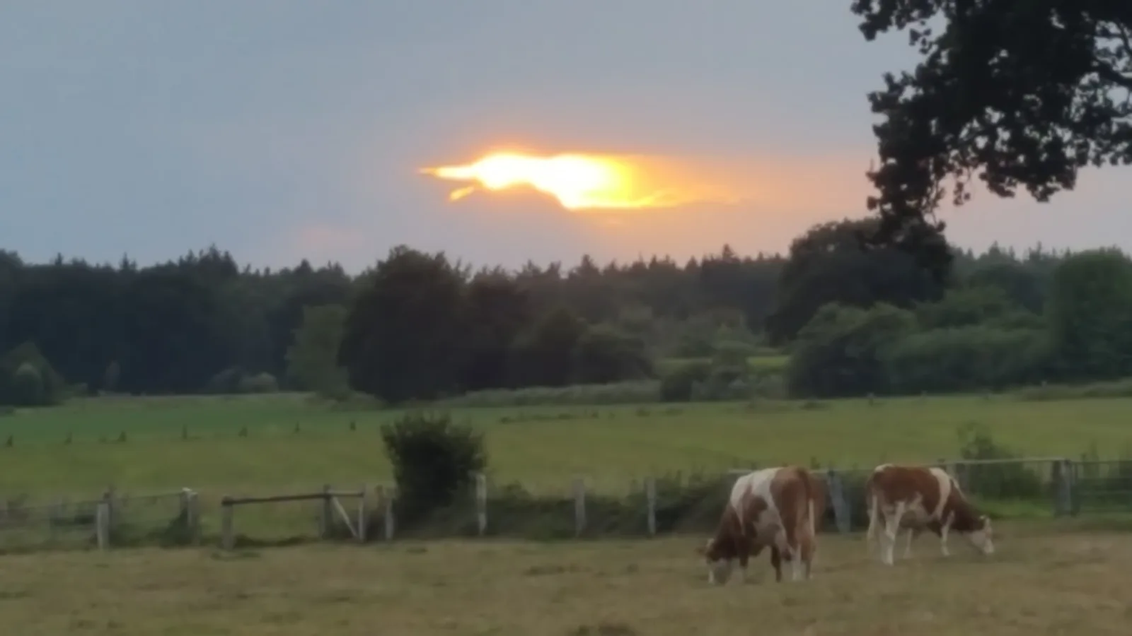 Naturblick