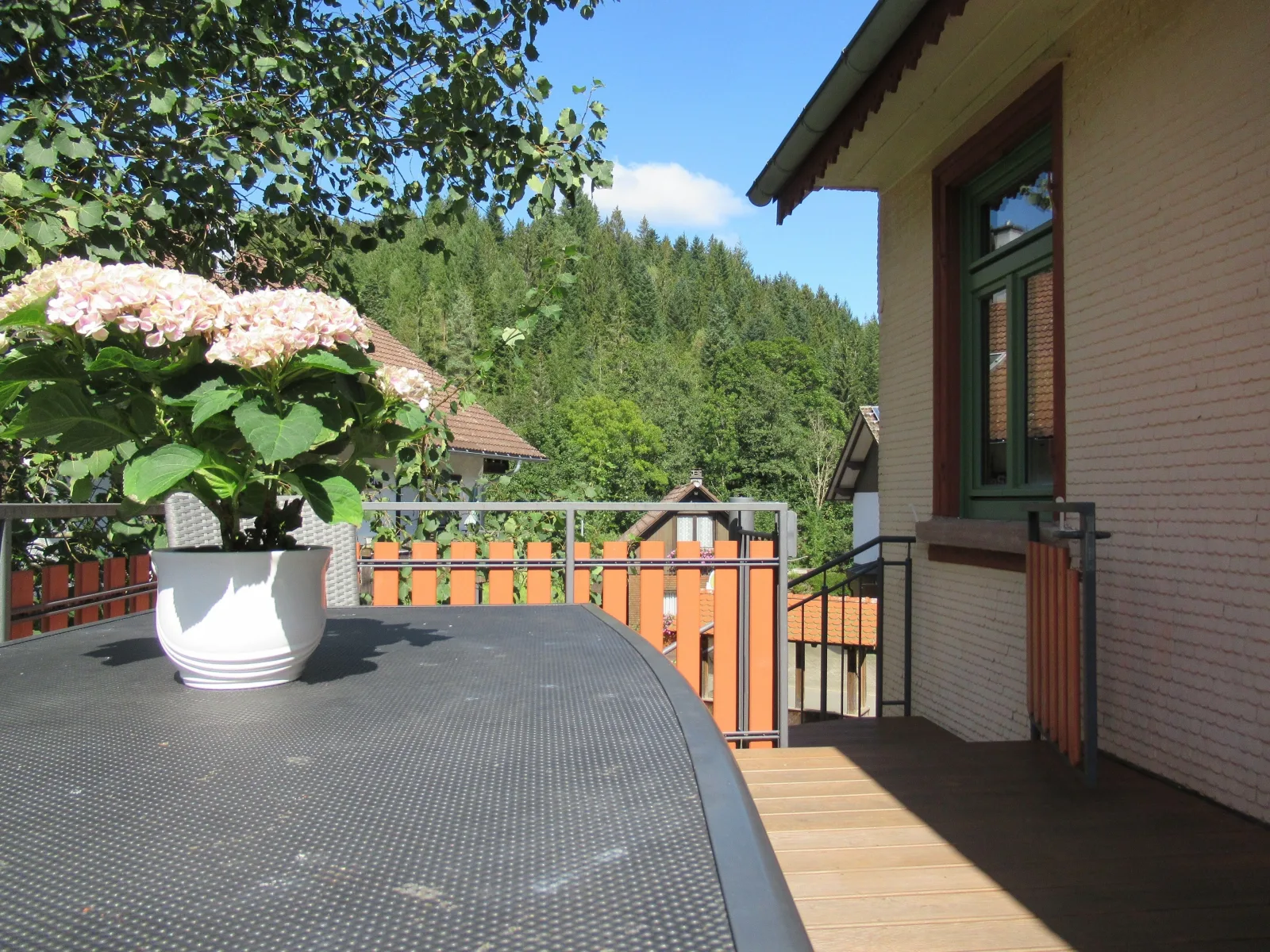 Ferienwohnung Schönmünzblick - Urlaub im Nationalpark Schwarzwald - Schwarzwald Plus inklusive