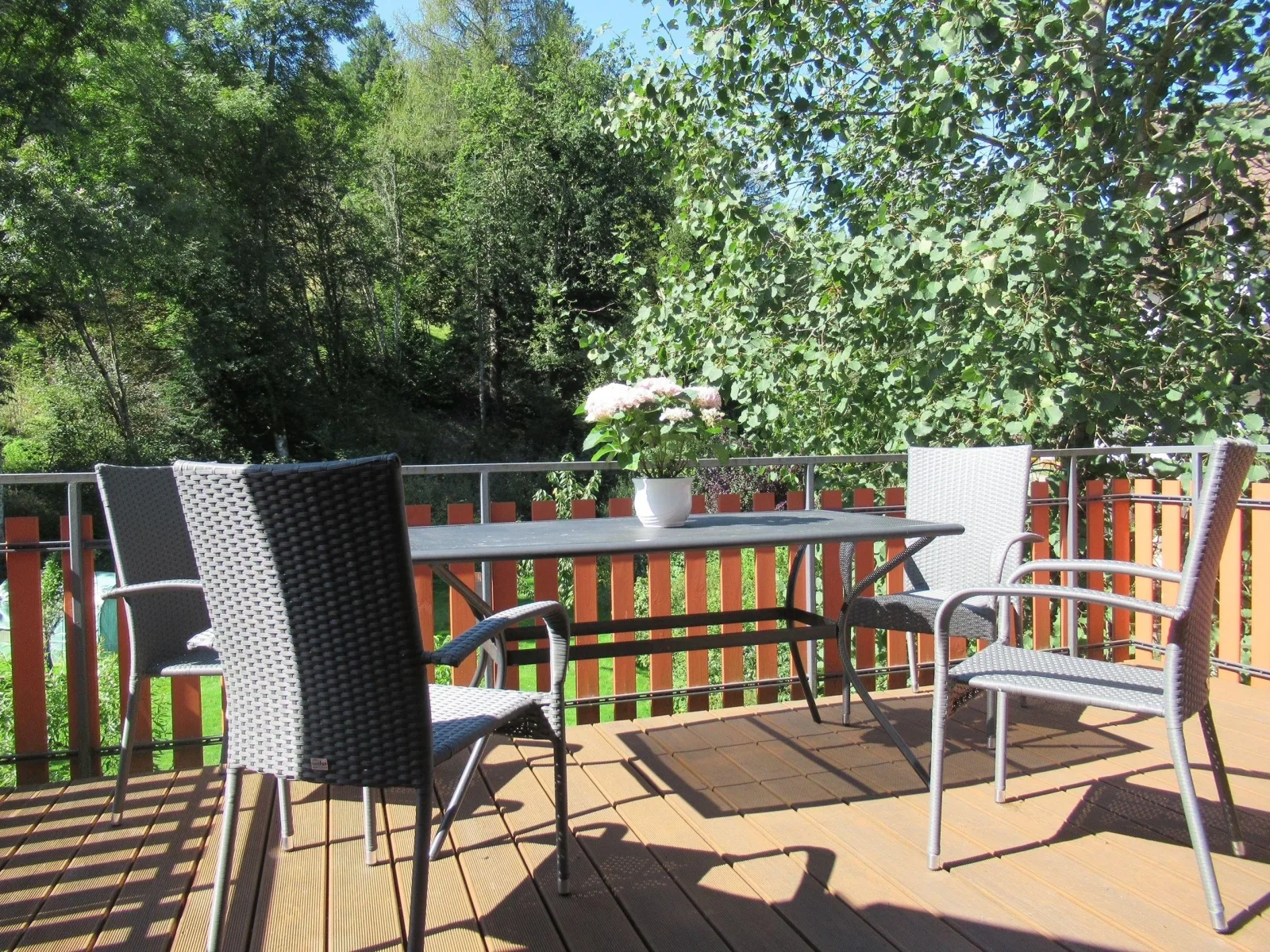 Ferienwohnung Schönmünzblick - Urlaub im Nationalpark Schwarzwald - Schwarzwald Plus inklusive
