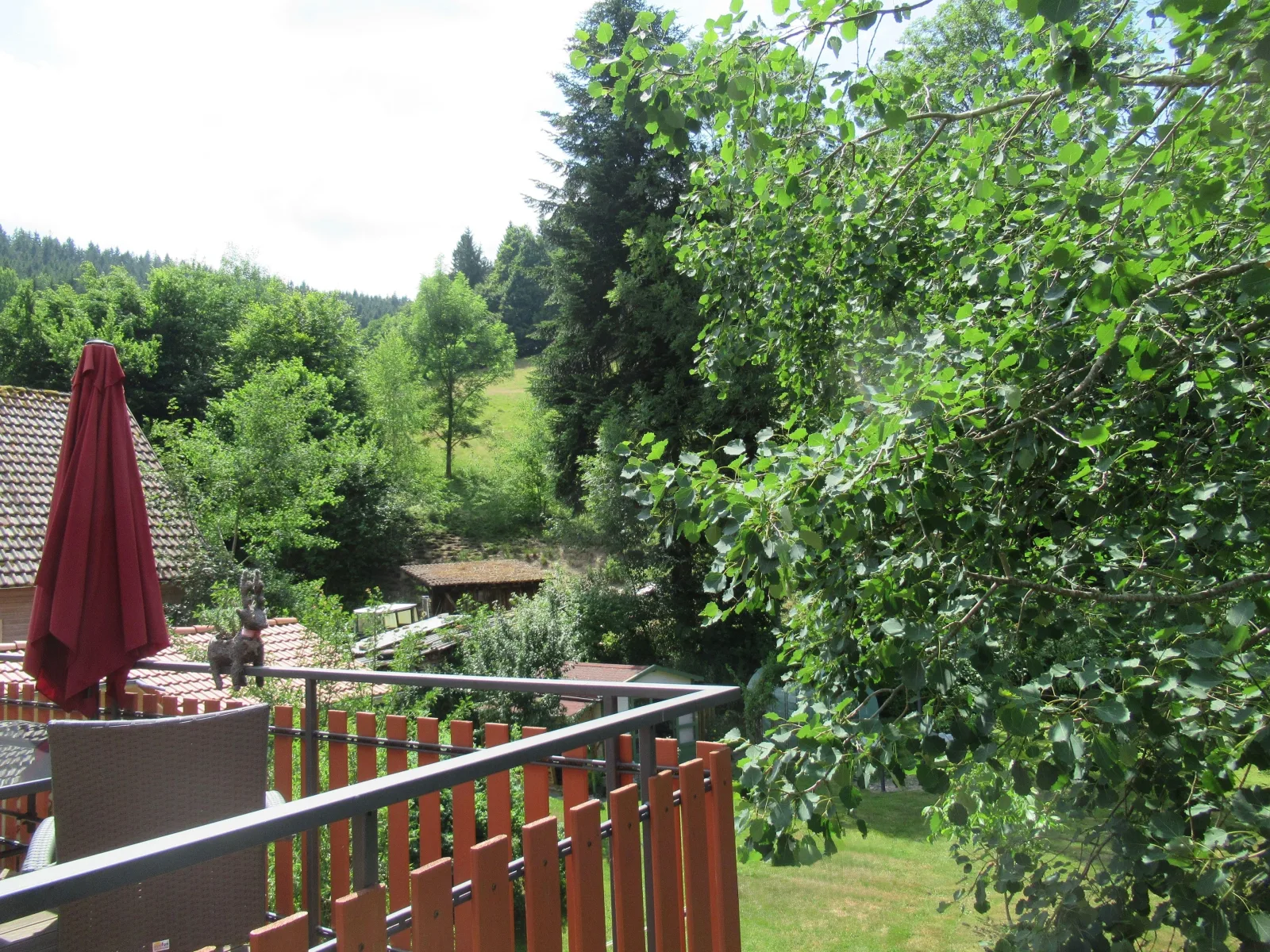 Ferienwohnung Schönmünzblick - Urlaub im Nationalpark Schwarzwald - Schwarzwald Plus inklusive
