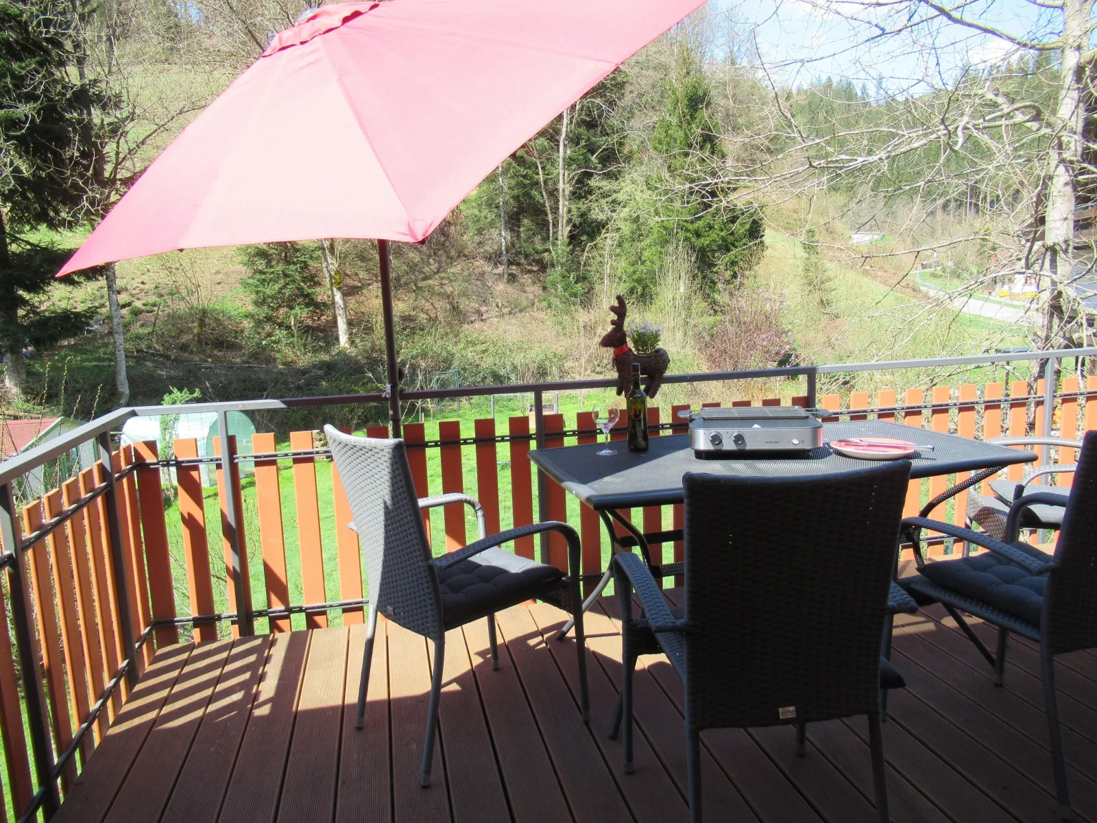 Ferienwohnung Schönmünzblick - Urlaub im Nationalpark Schwarzwald - Schwarzwald Plus inklusive