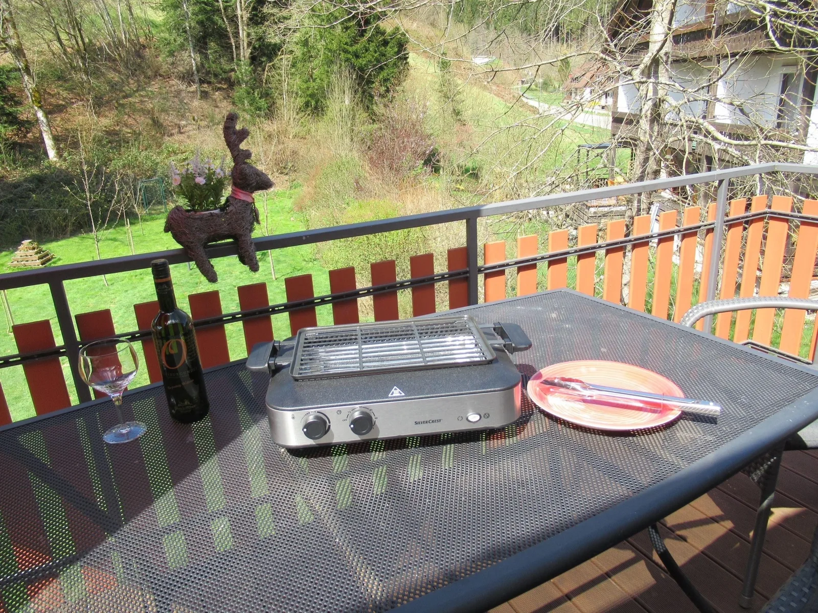 Ferienwohnung Schönmünzblick - Urlaub im Nationalpark Schwarzwald - Schwarzwald Plus inklusive