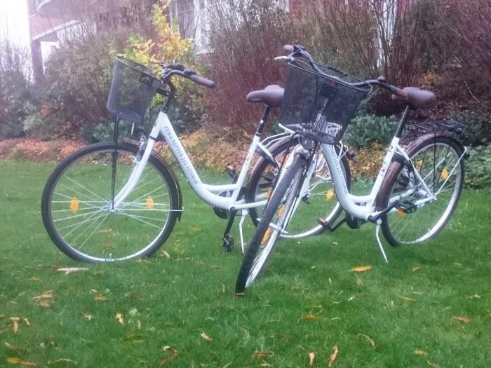 de Piepaant