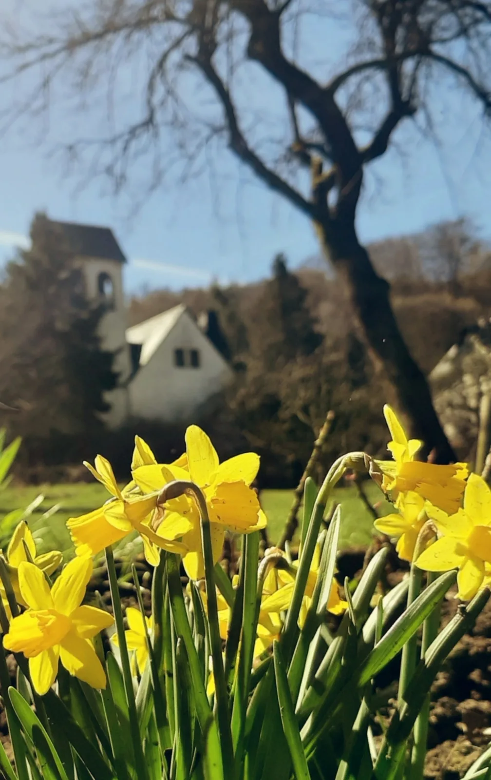 Die Malche Gäste und Tagungshaus 26