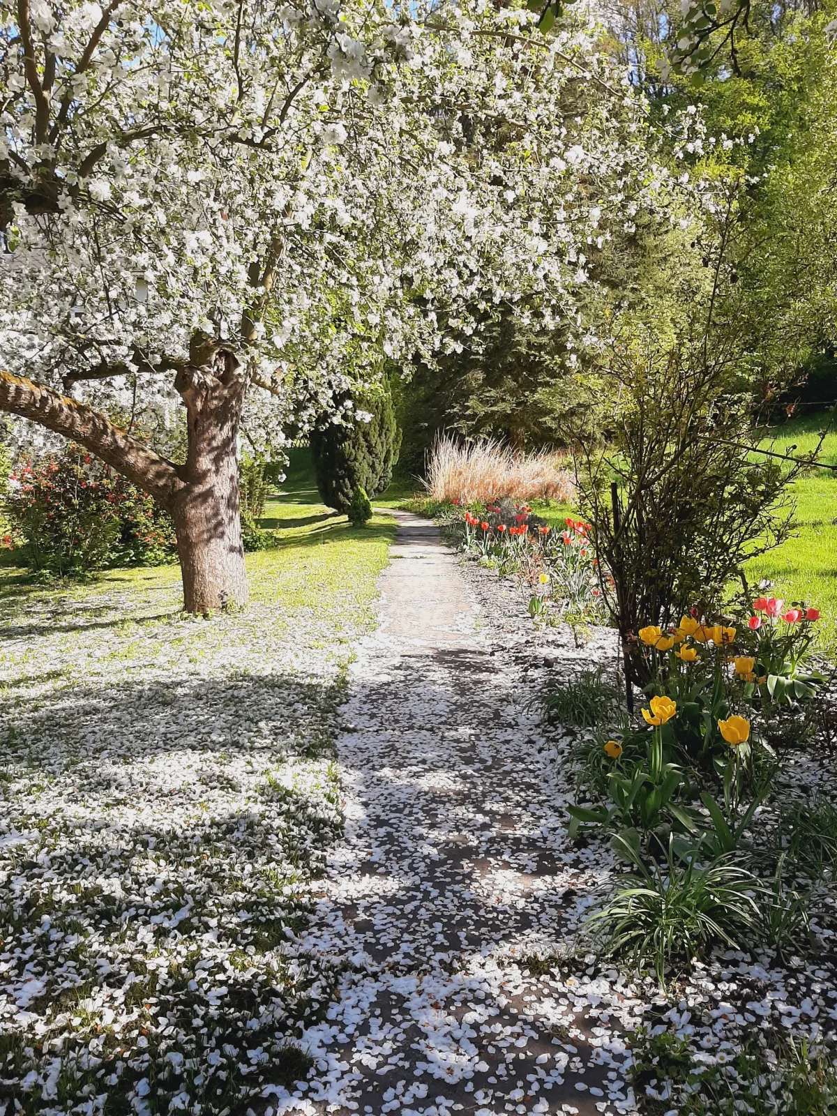 Die Malche Gäste und Tagungshaus Villa App. 13