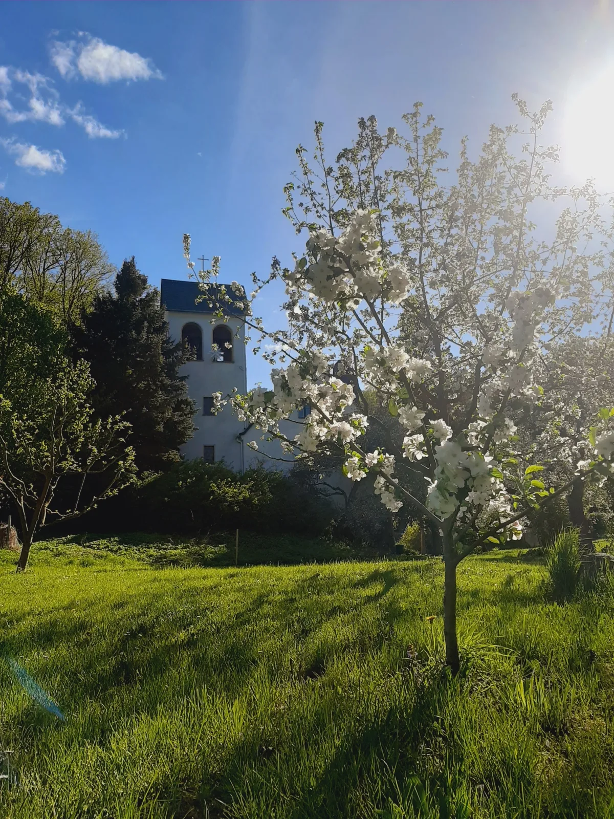 Die Malche Gäste und Tagungshaus Villa App. 13
