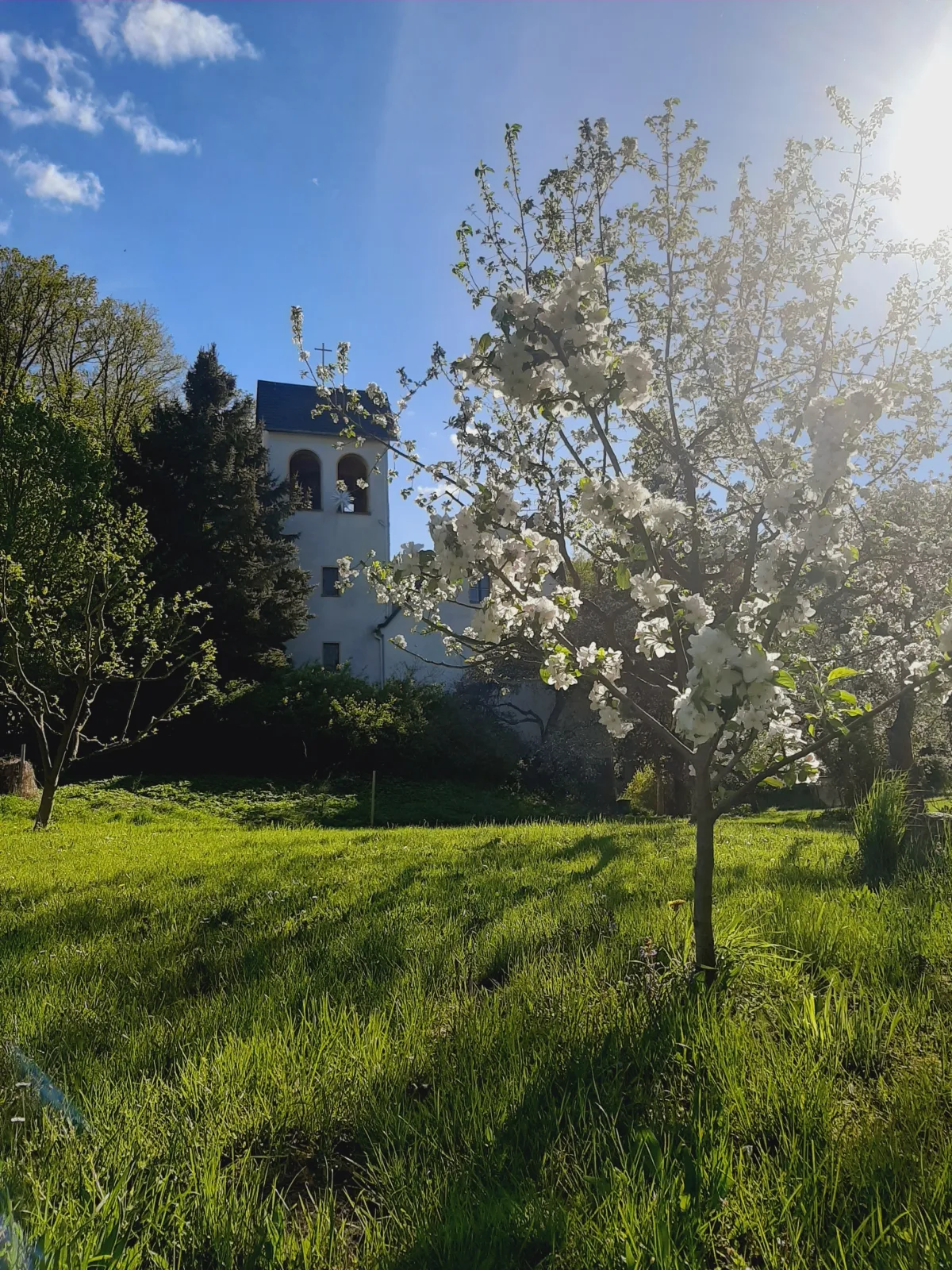 Die Malche Gäste und Tagungshaus Villa App. 13