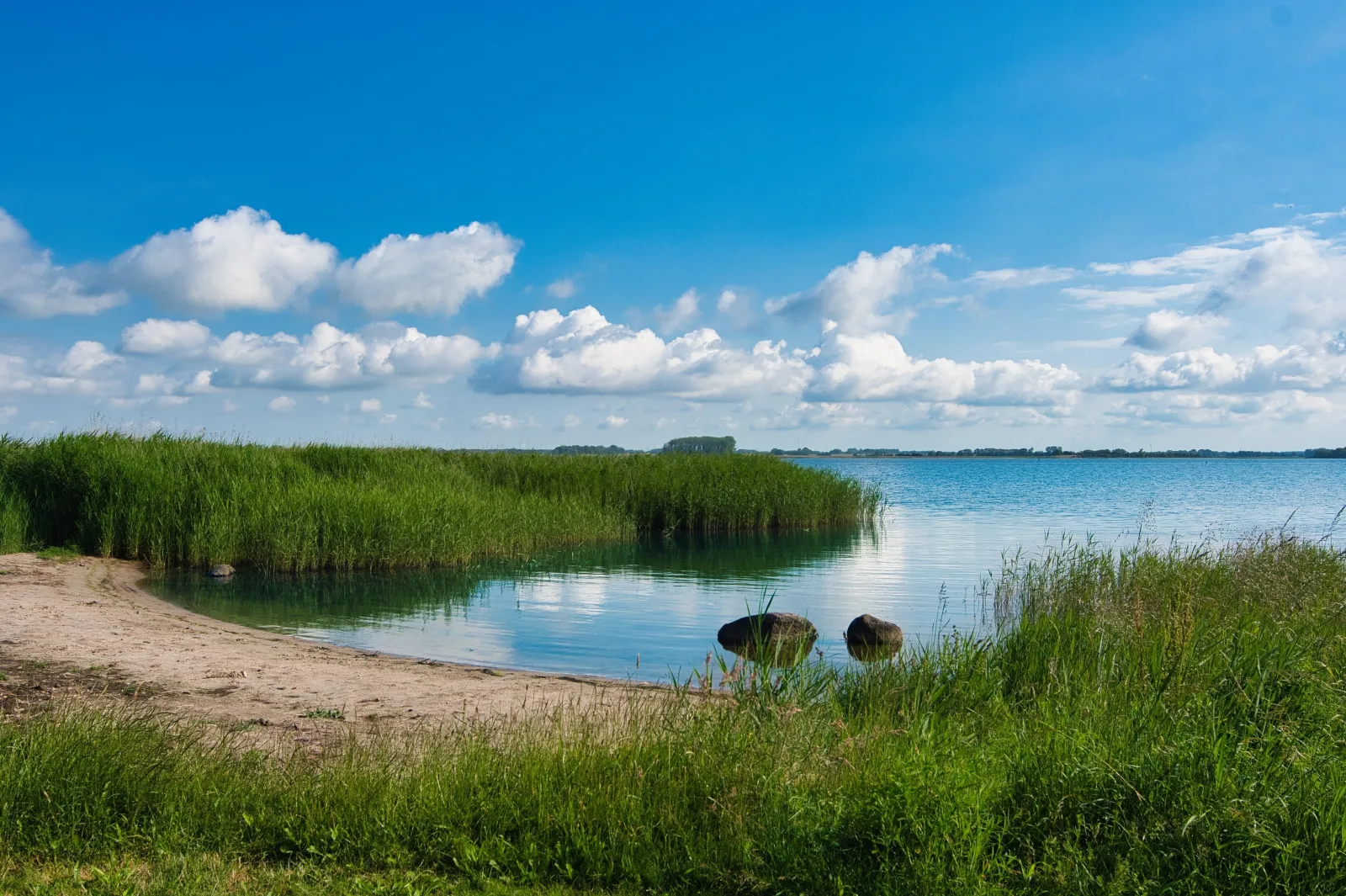 Haushälfte Fischerblick