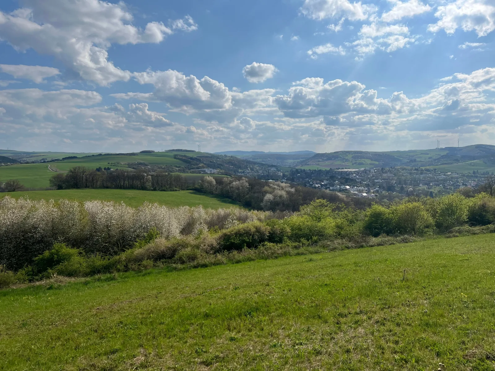 Ferienwohnung "Im Weidengarten"