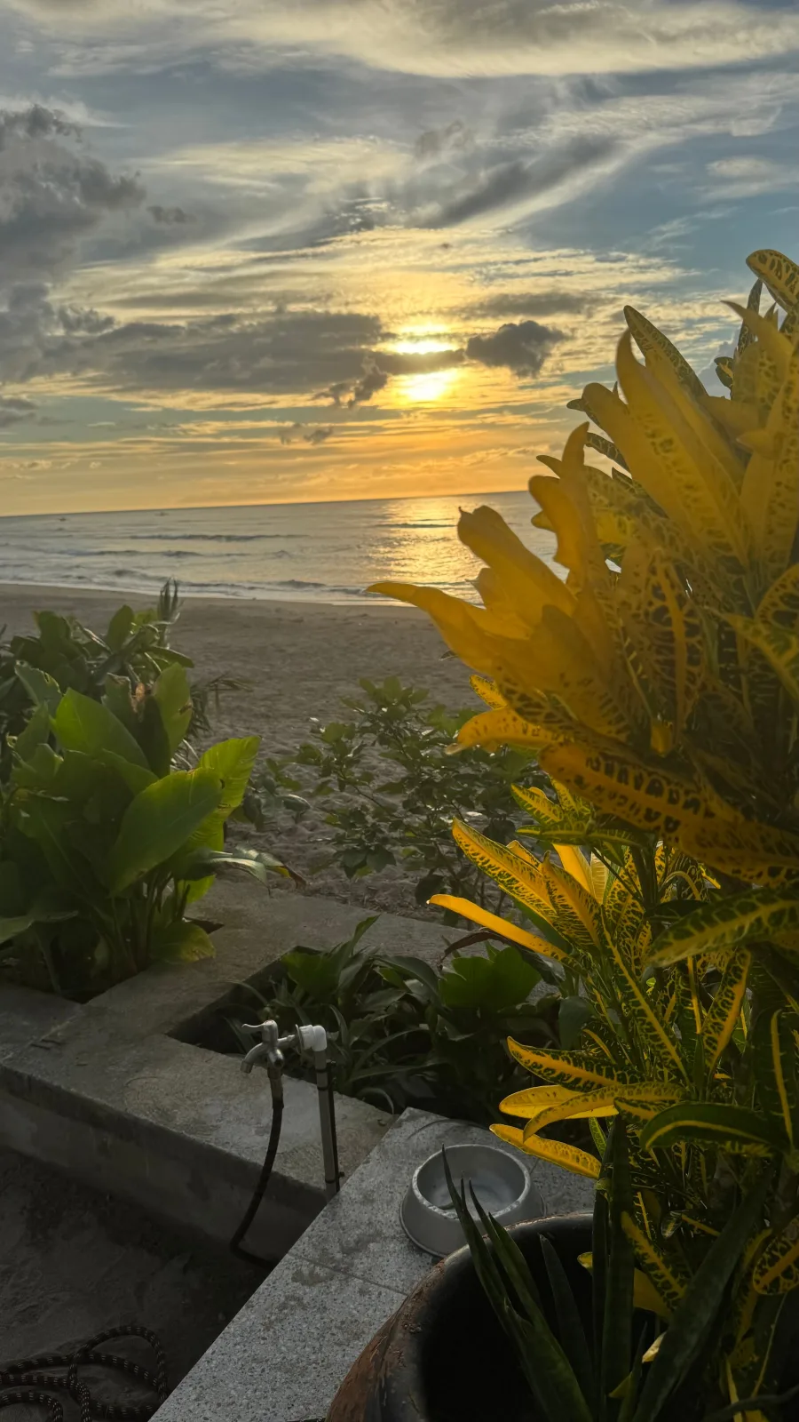 Buddy's Beach House Studio 2
