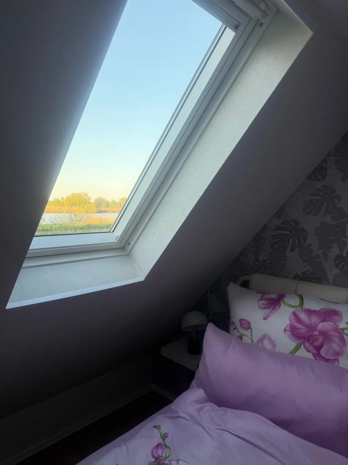 Ferienwohnung mit Seeblick 2