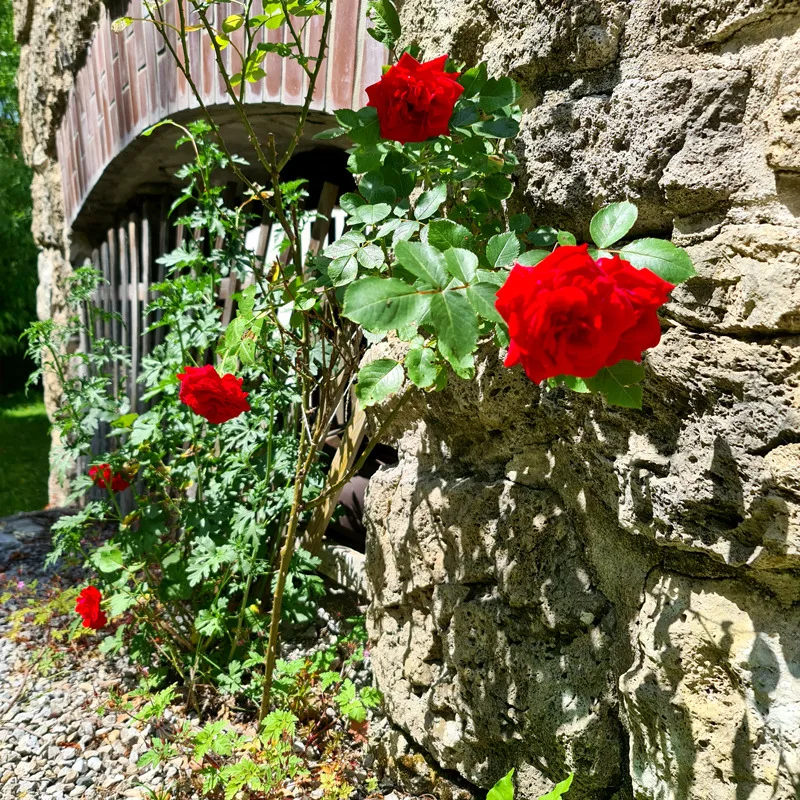 Haus am Bach