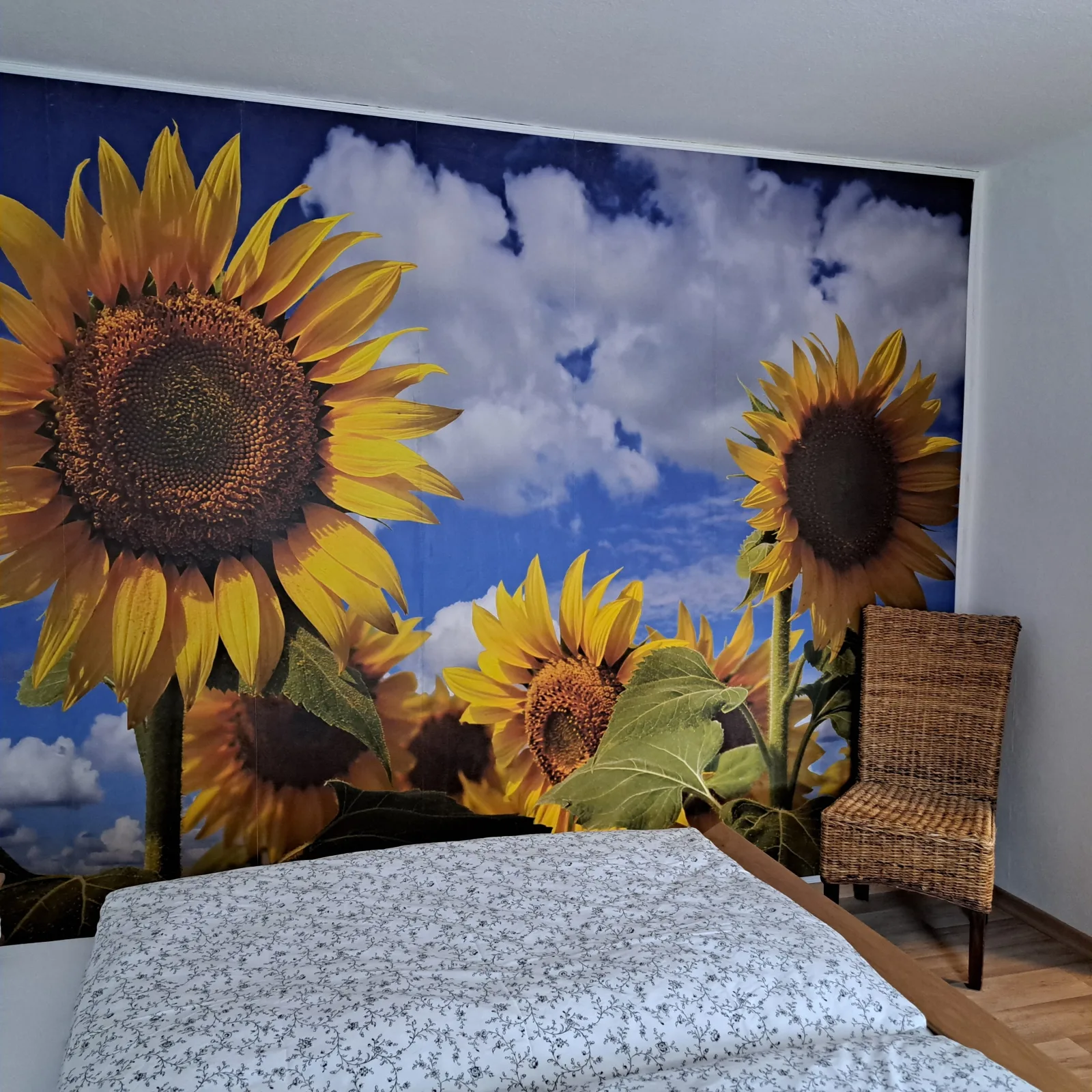 Ferienwohnung Hof Segberg