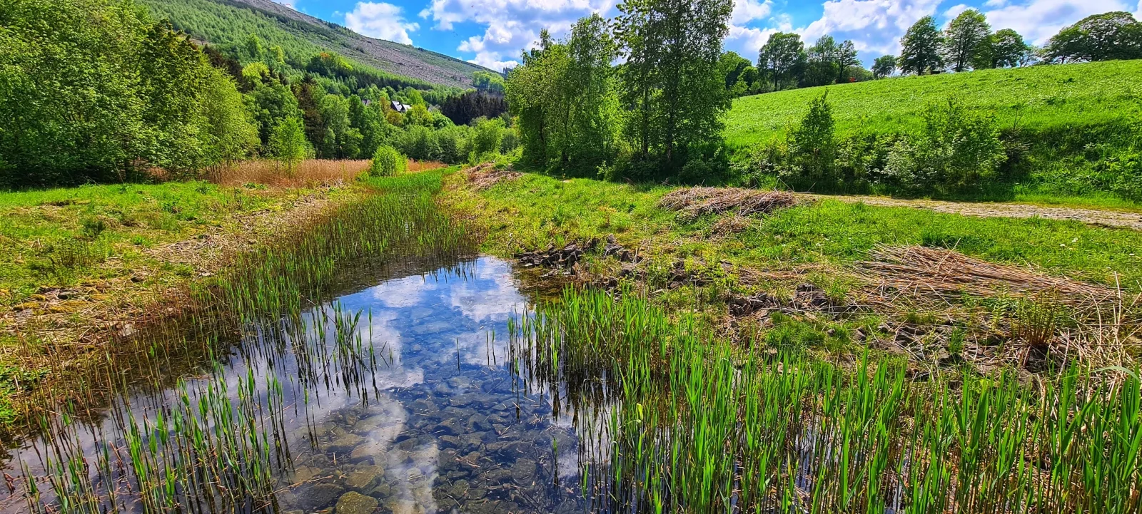 WALDBLICK (Ferienwohnungen Dorfliebe Dörnberg)