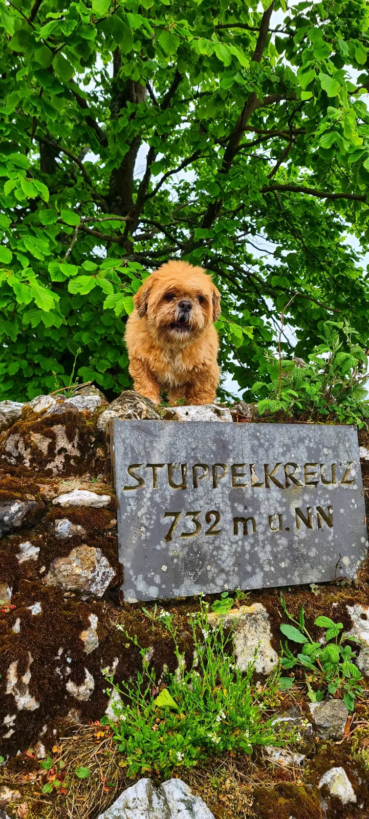 WALDBLICK (Ferienwohnungen Dorfliebe Dörnberg)