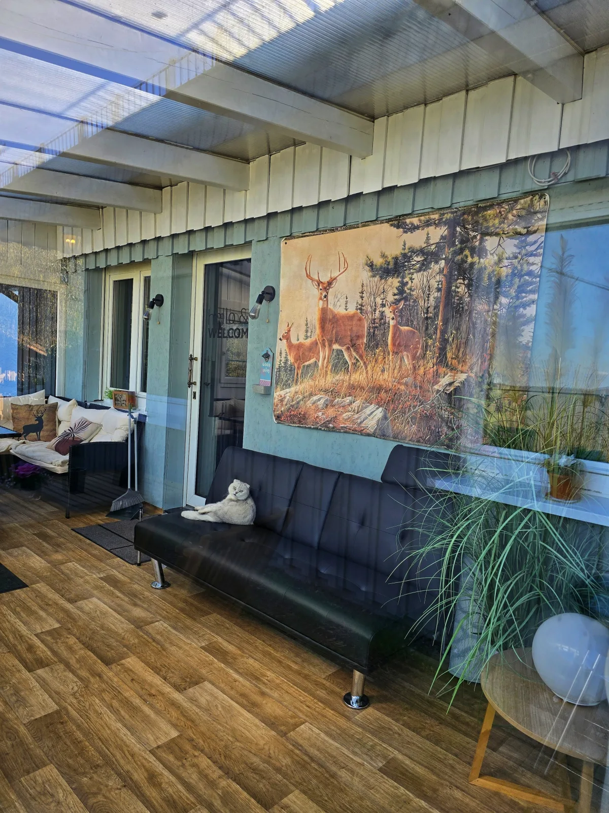 Traumblick Bungalow (Ferienwohnungen Dorfliebe Dörnberg)