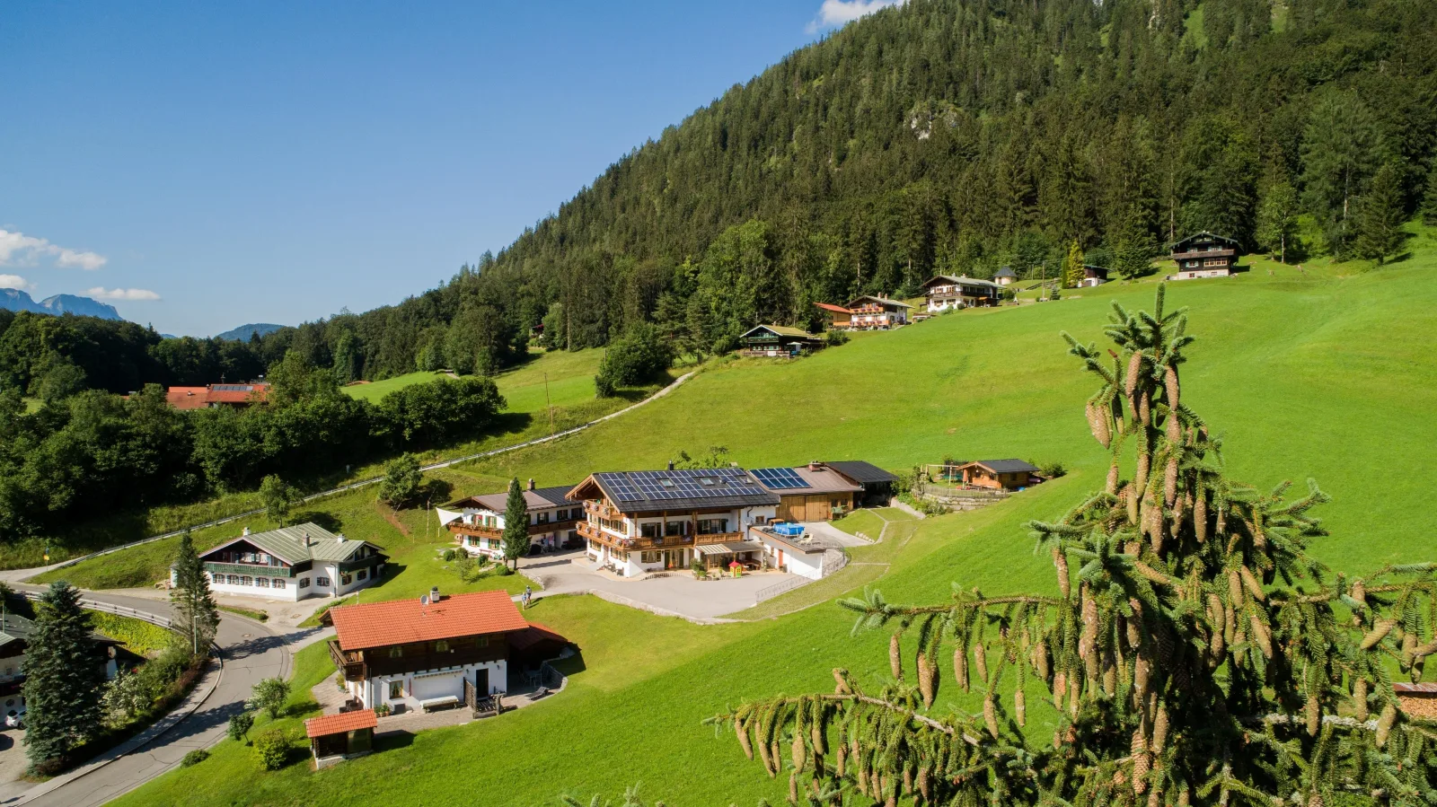 Jennerblick