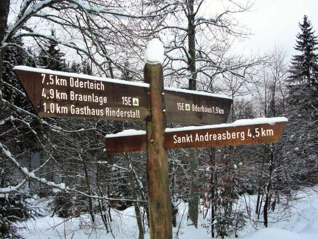 Das Eulennest