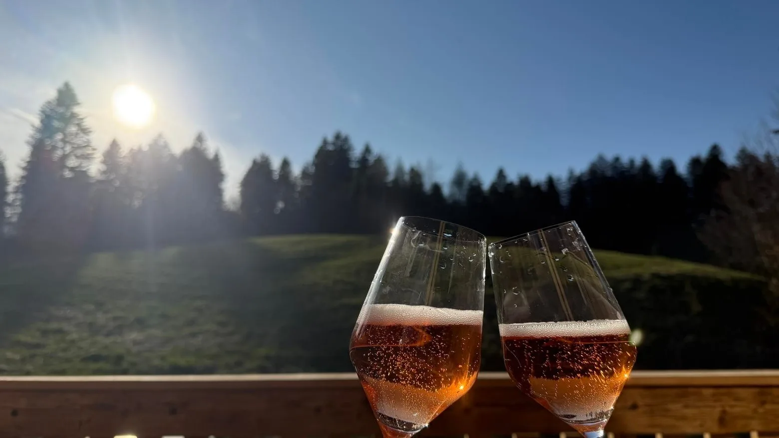 5-Sterne Ziegelberg Chalets: "Chalet Waldblick"