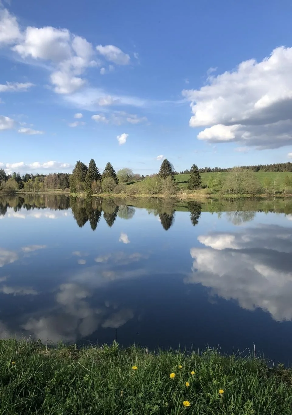 Ferienwohnung am Sumpfteich